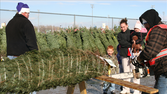 Repurpose your old Christmas tree in Helena (Update) - ABC FOX Montana