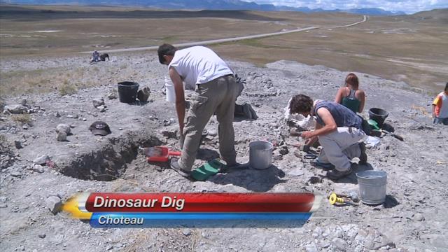 dinosaur digging sites