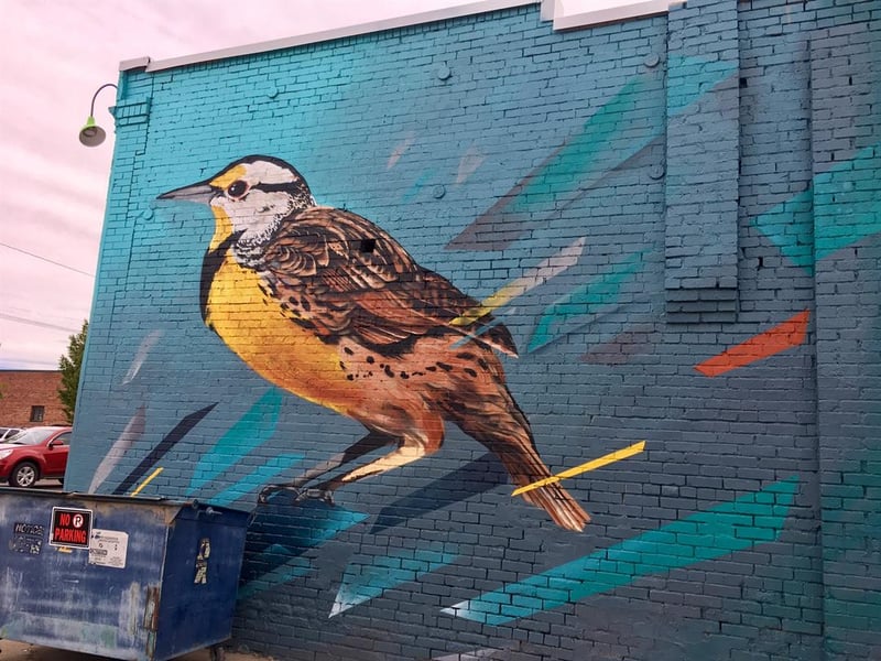 bye bye blank walls murals in great falls kulr8 com news